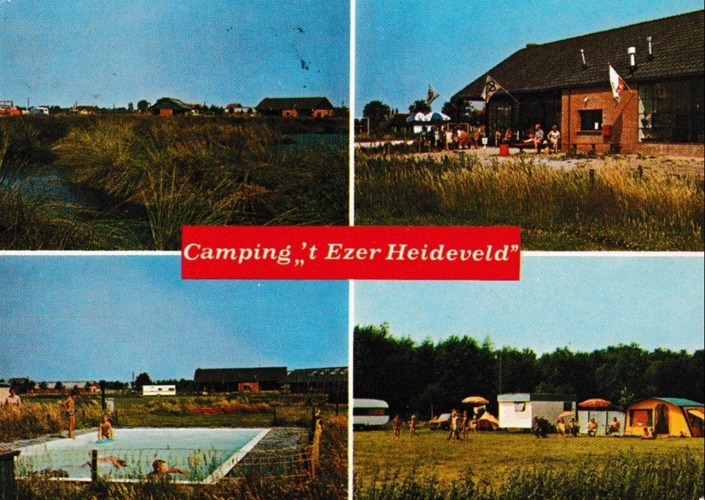 Steenwijk (willwmsoord)             818, Ophalen of Verzenden, Voor 1920, Overijssel