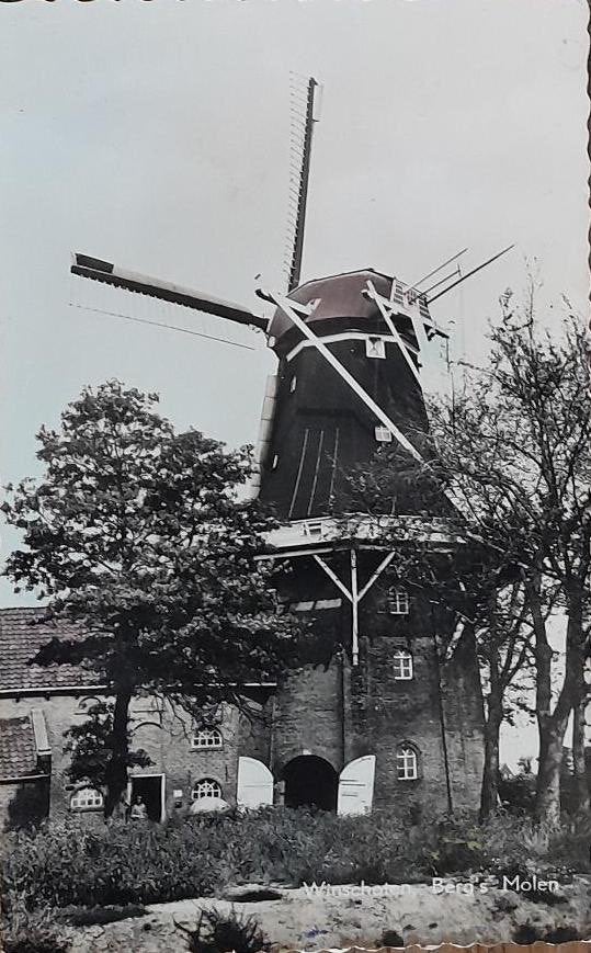 Winschoten- Berg's Molen aan het werk, Verzenden, 1940 tot 1960, Gelopen, Groningen