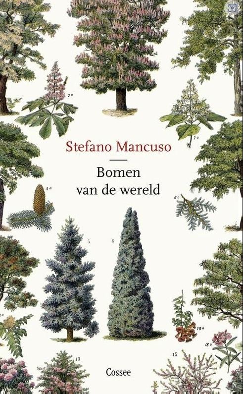 Bomen van de wereld, Stefano Mancuso, Ophalen of Verzenden, Zo goed als nieuw, Natuur algemeen
