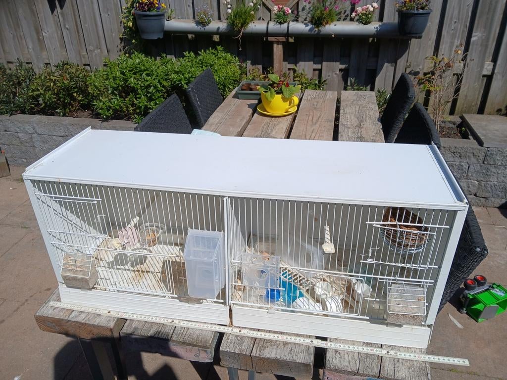 Kweek kooi, Dieren en Toebehoren, Vogels | Hokken en Kooien, Ophalen, Zo goed als nieuw, Broedkooi of Kweekkooi