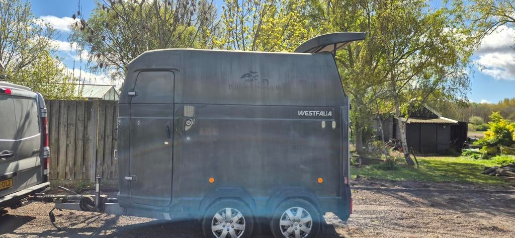 Westfalia 2 paards jupiter trailer, Ophalen, Gebruikt, Polyester, 2-paards trailer