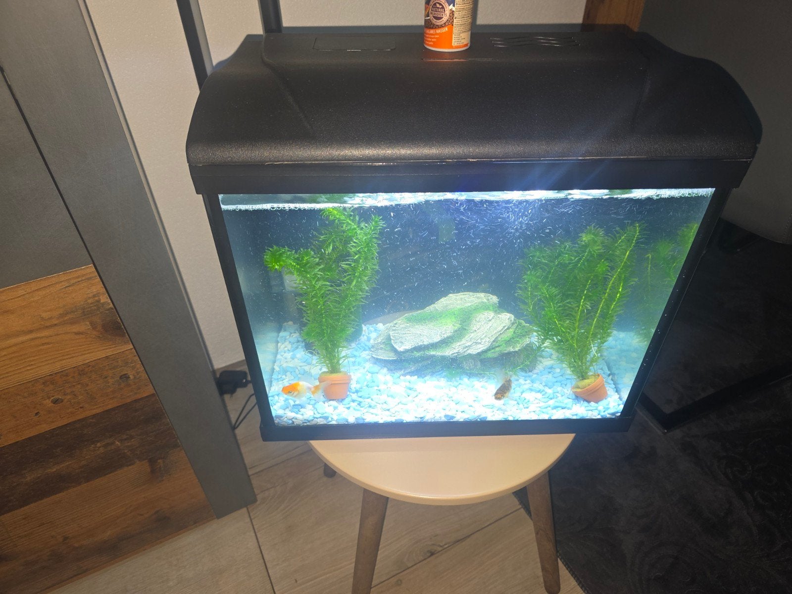 vis aquarium, Dieren en Toebehoren, Vissen | Aquaria en Toebehoren, Ophalen of Verzenden, Zo goed als nieuw, Leeg aquarium