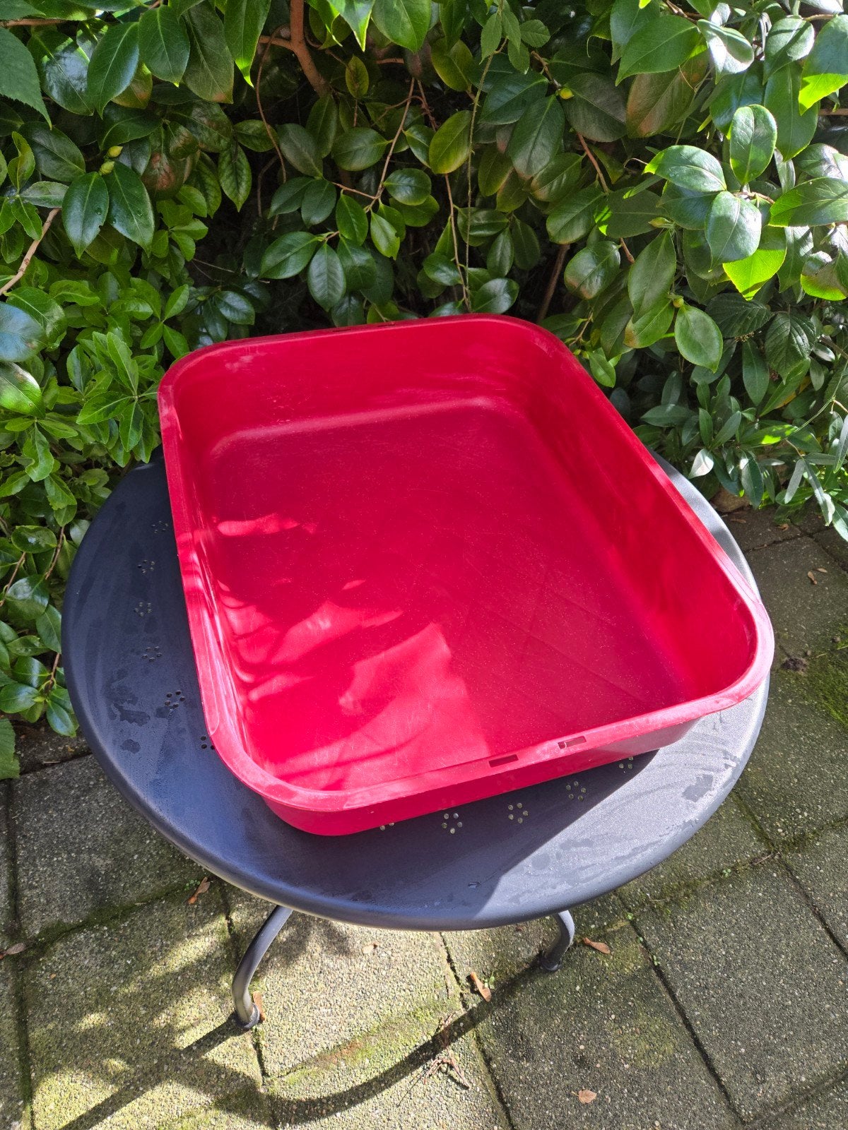 Gimpet kattenbak katzy, Ophalen, Gebruikt