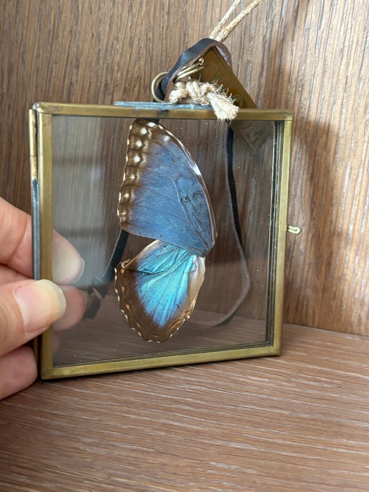 Vlinder vleugels in lijstje 8x8 cm, Ophalen of Verzenden, Gebruikt