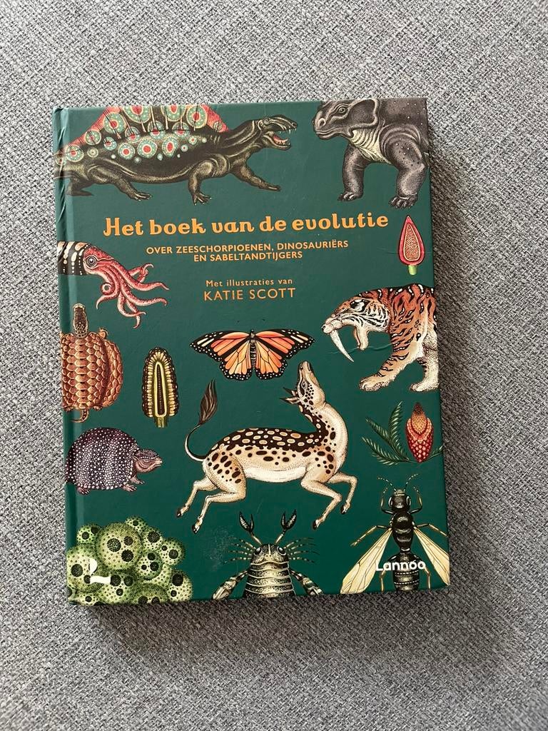 Boek: het boek van de evolutie (Katie Scott), Ophalen of Verzenden, Zo goed als nieuw