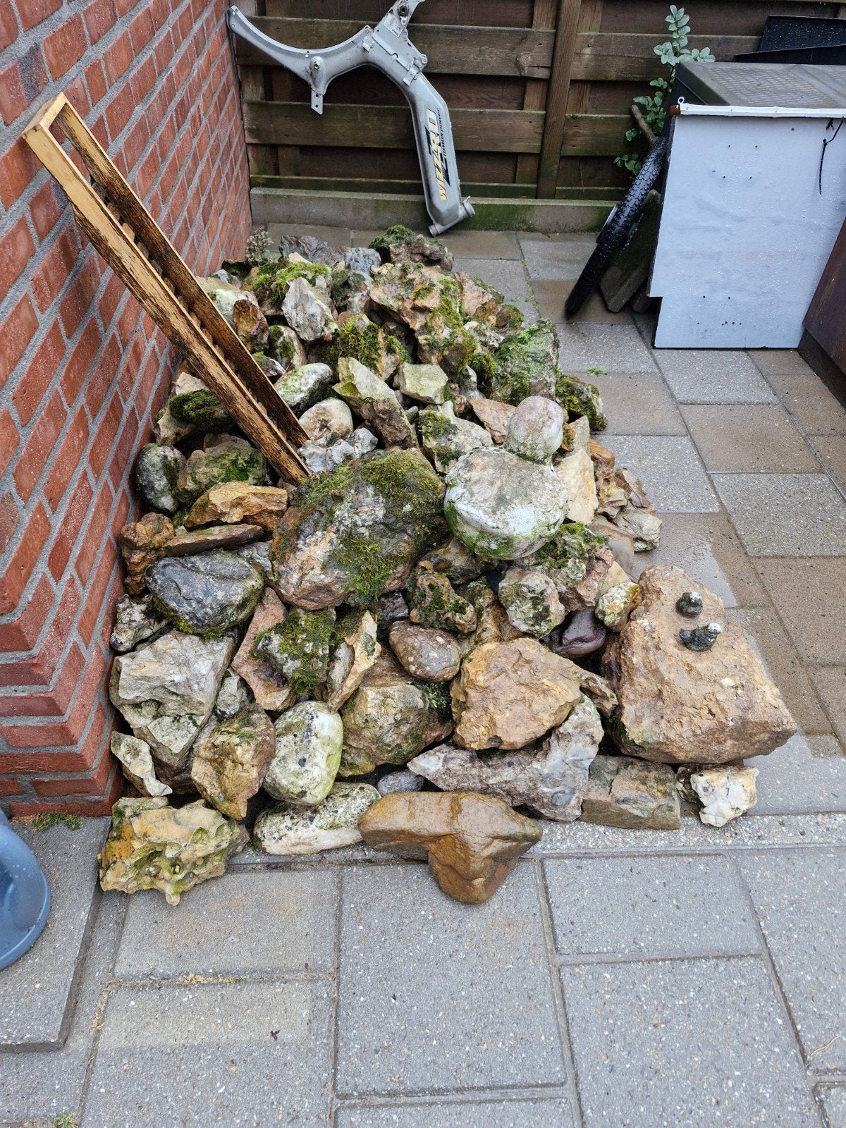 GRATIS MAASKEIEN, Ophalen