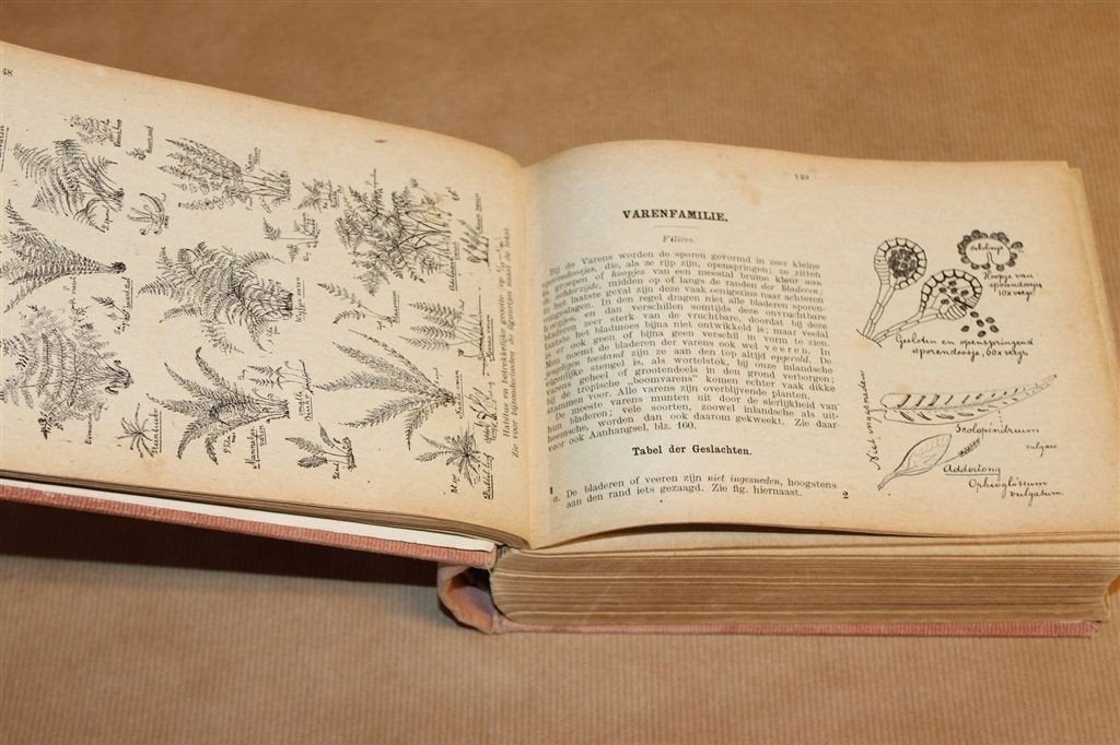 Geïllustreerde Flora van Nederland [1920] —Heimans & Thijsse, Ophalen of Verzenden, Gelezen, Bloemen, Planten en Bomen
