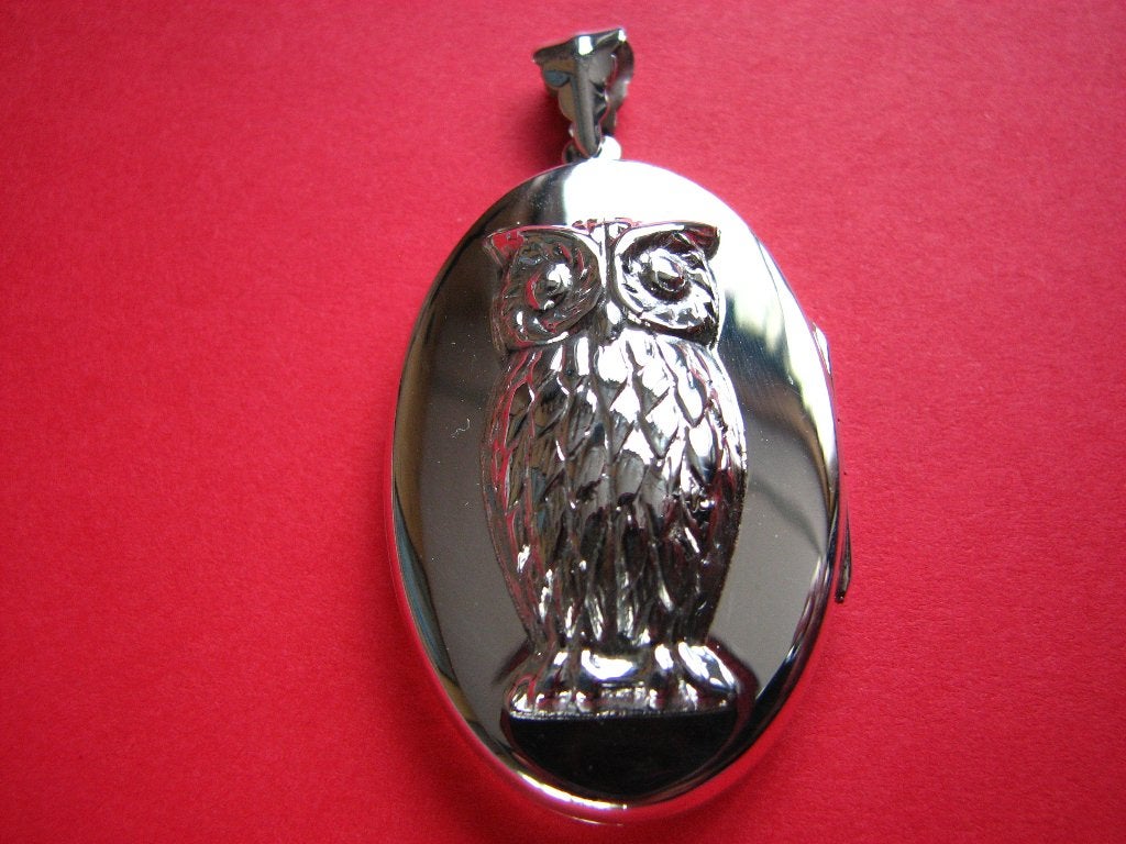 Mooi Groot Zilveren Medaillon met daarop een Uiltje, Verzenden, Zilver, Hanger