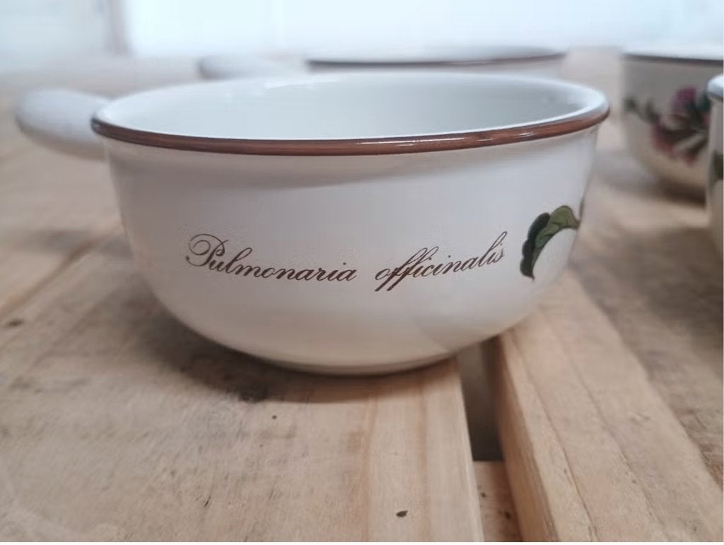 4 soepkommen met steel Villeroy & Boch Botanica Pulmonaria, Antiek en Kunst, Ophalen