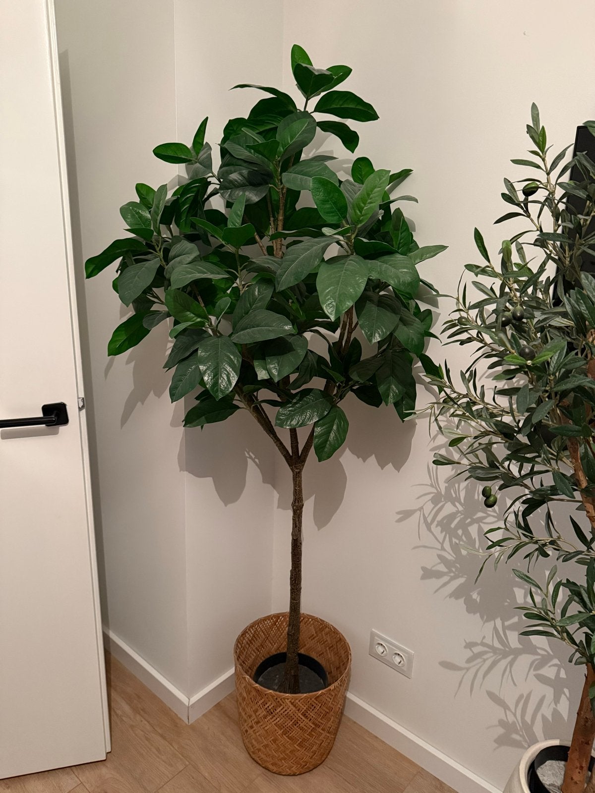 IKEA FEJKA Kunstplant 190cm hoog, Ophalen, Binnen, Groen, Kunstplant