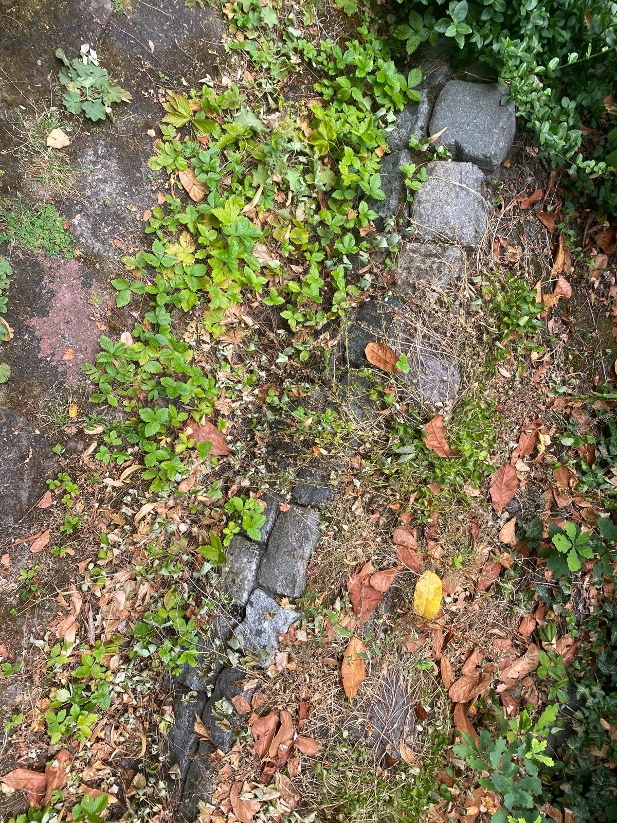 Gratis: keien voor tuin, Tuin en Terras, Ophalen, Gebruikt, Graniet, Kei