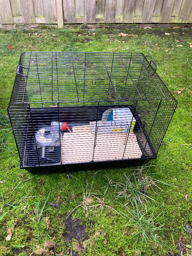 Hamsterkooi met veel extra spullen, Dieren en Toebehoren, Kooi, Gebruikt, Minder dan 75 cm, Hamster