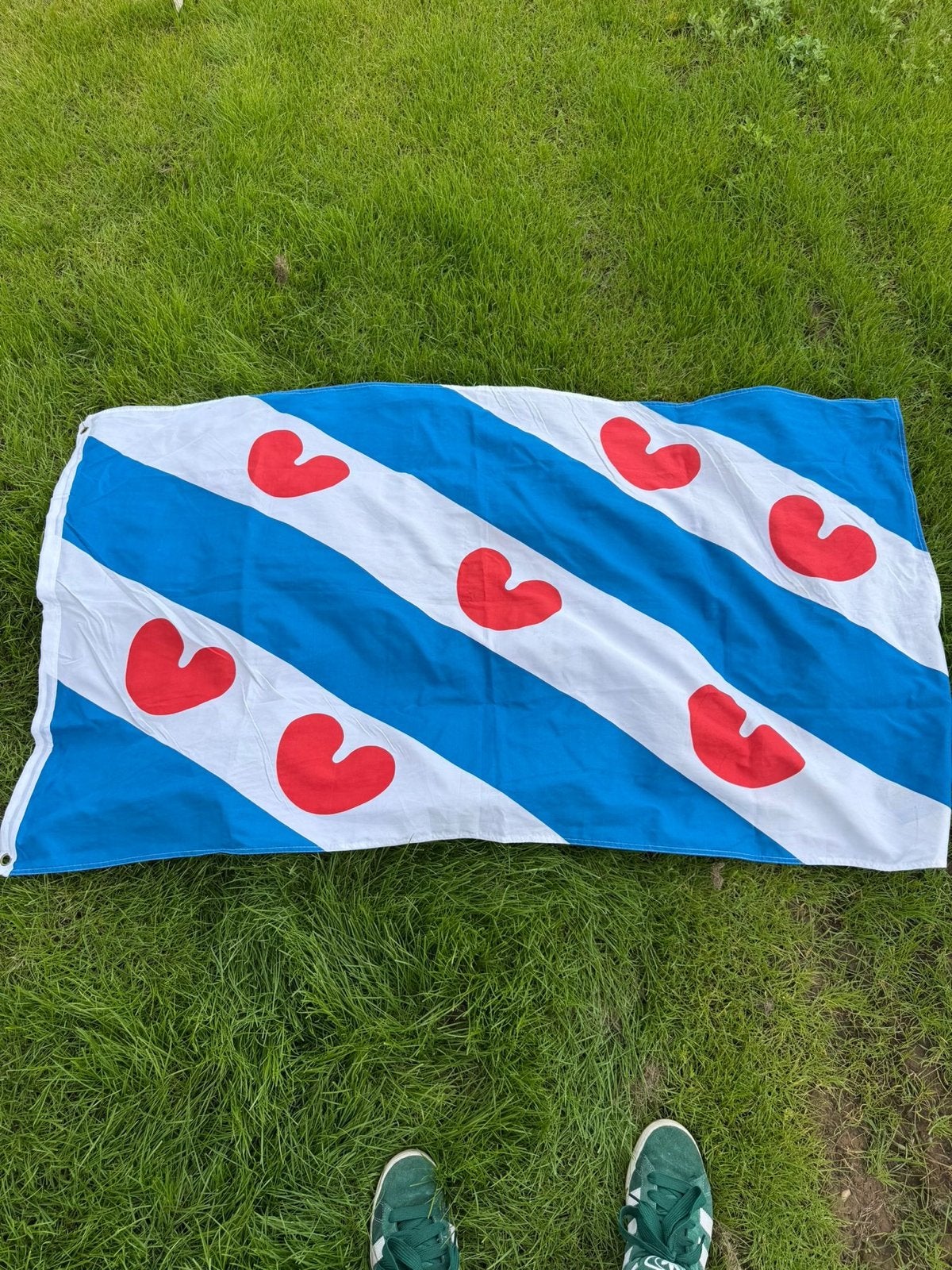 Vlag Friesland, Ophalen of Verzenden