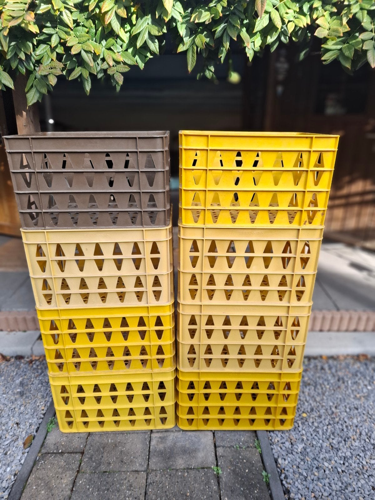 Totaal 8x Gele en bruine kratten - Ideaal voor opslag of dec, Ophalen, Gebruikt, 40 tot 60 cm, 50 tot 75 cm