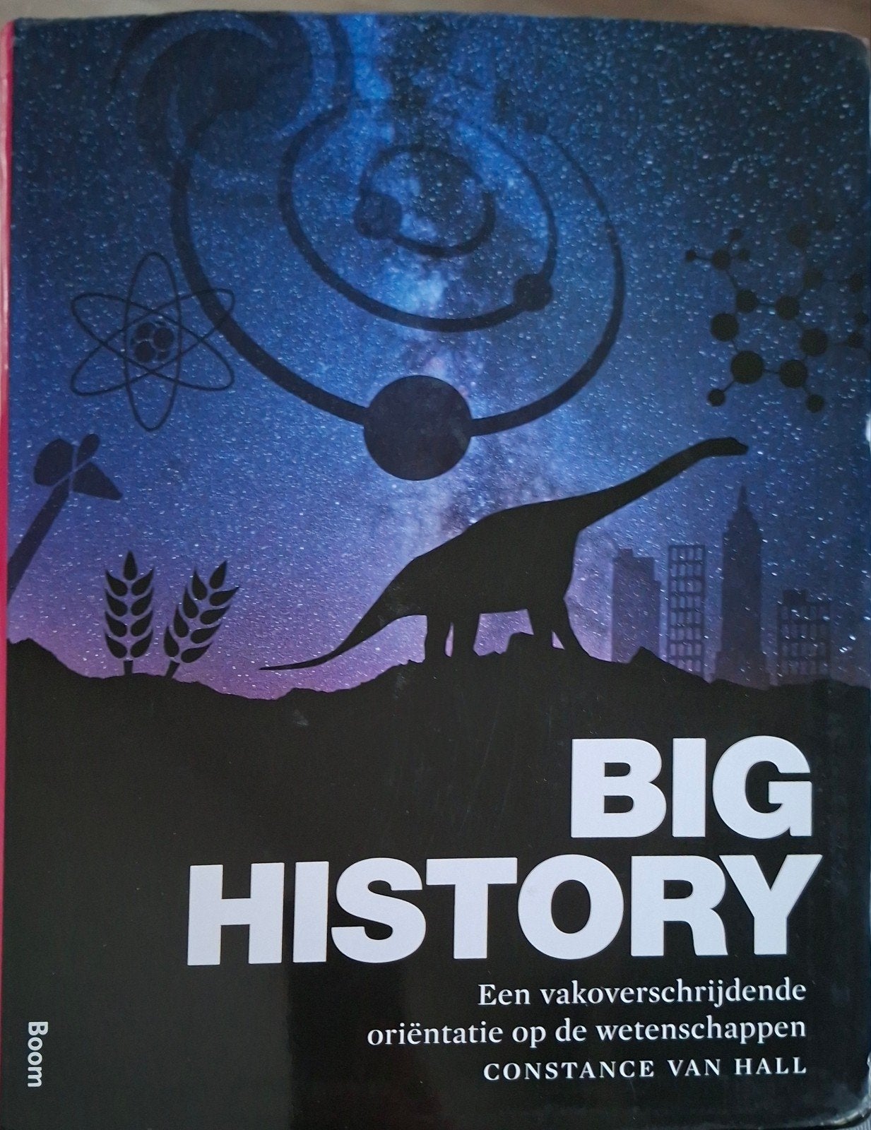 Constance van Hall - Big history, Boeken, Filosofie, Ophalen of Verzenden, Zo goed als nieuw, Constance van Hall