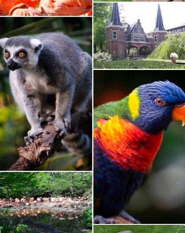 aviafauna kaarten