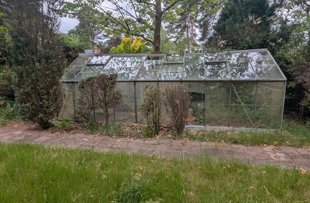 2 oude kassen - gratis op te halen, Tuin en Terras, Kassen, Ophalen, Gebruikt, Kweekkas, Glas