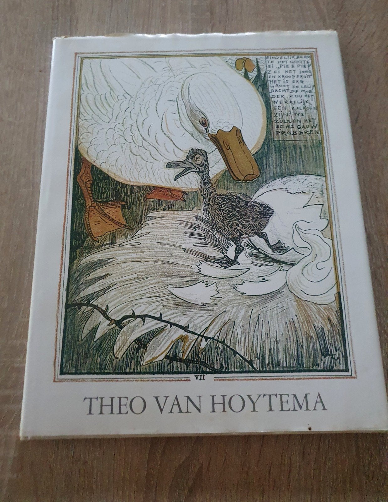 Het Lelijke Jonge Eendje Jugendstil - Theo van Hoytema, Ophalen of Verzenden, Theo van Hoytema