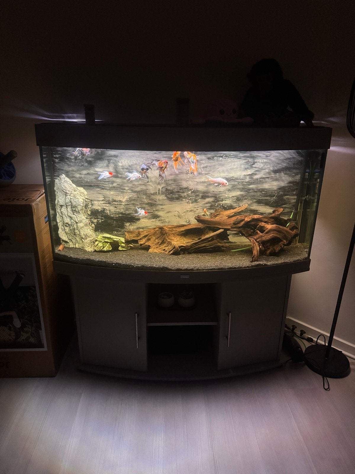 Complete aquariumset te koop., Dieren en Toebehoren, Vissen | Aquaria en Toebehoren, Ophalen