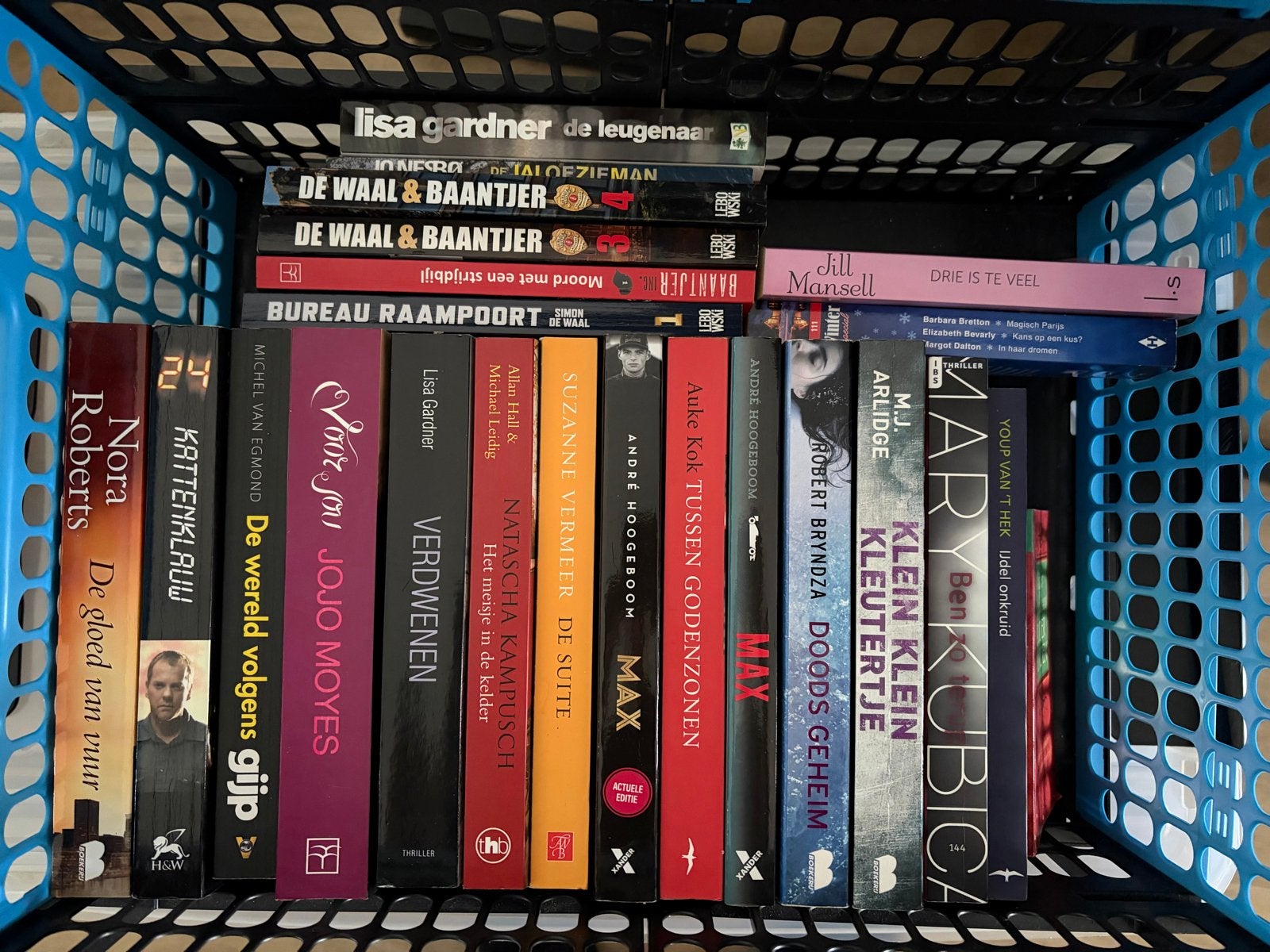 Diverse leesboeken in goede staat, Ophalen of Verzenden, Zo goed als nieuw
