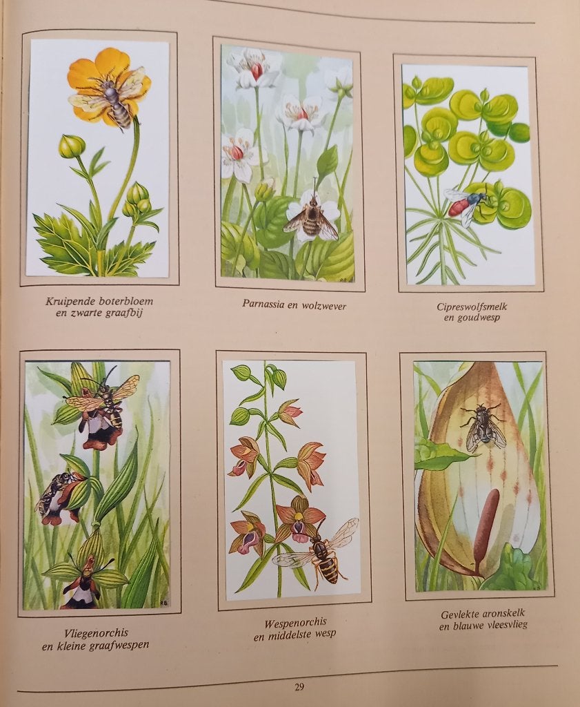 Over de bloemen en de bijtjes bijlage Margriet 1983, Ophalen of Verzenden, Gelezen, Damesbladen