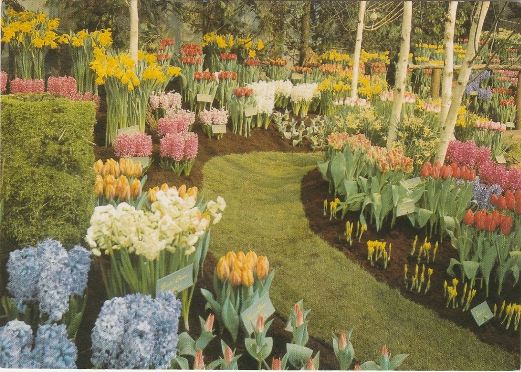 BOVENKARSPEL Westfriese Flora, Verzenden, 1960 tot 1980, Ongelopen, Noord-Holland