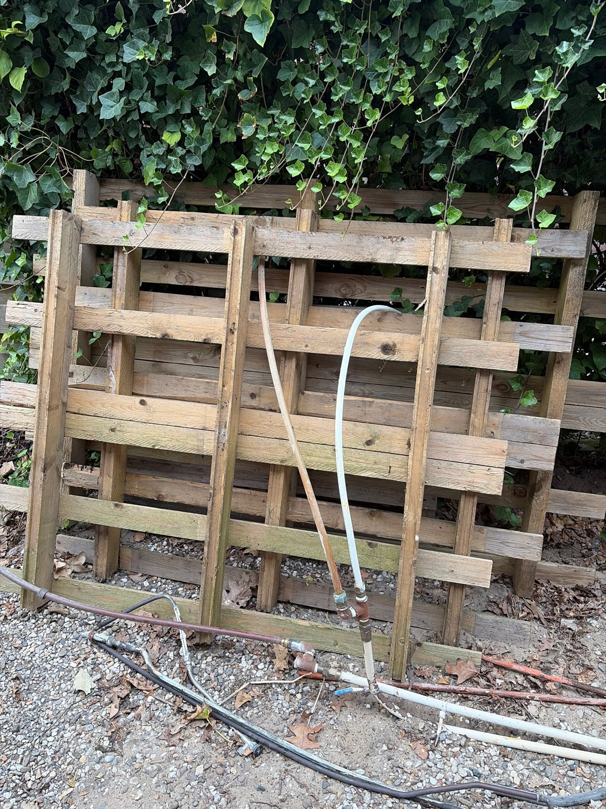Gratis pallets, Gebruikt, 25 tot 50 mm, Ophalen of Verzenden, Pallet