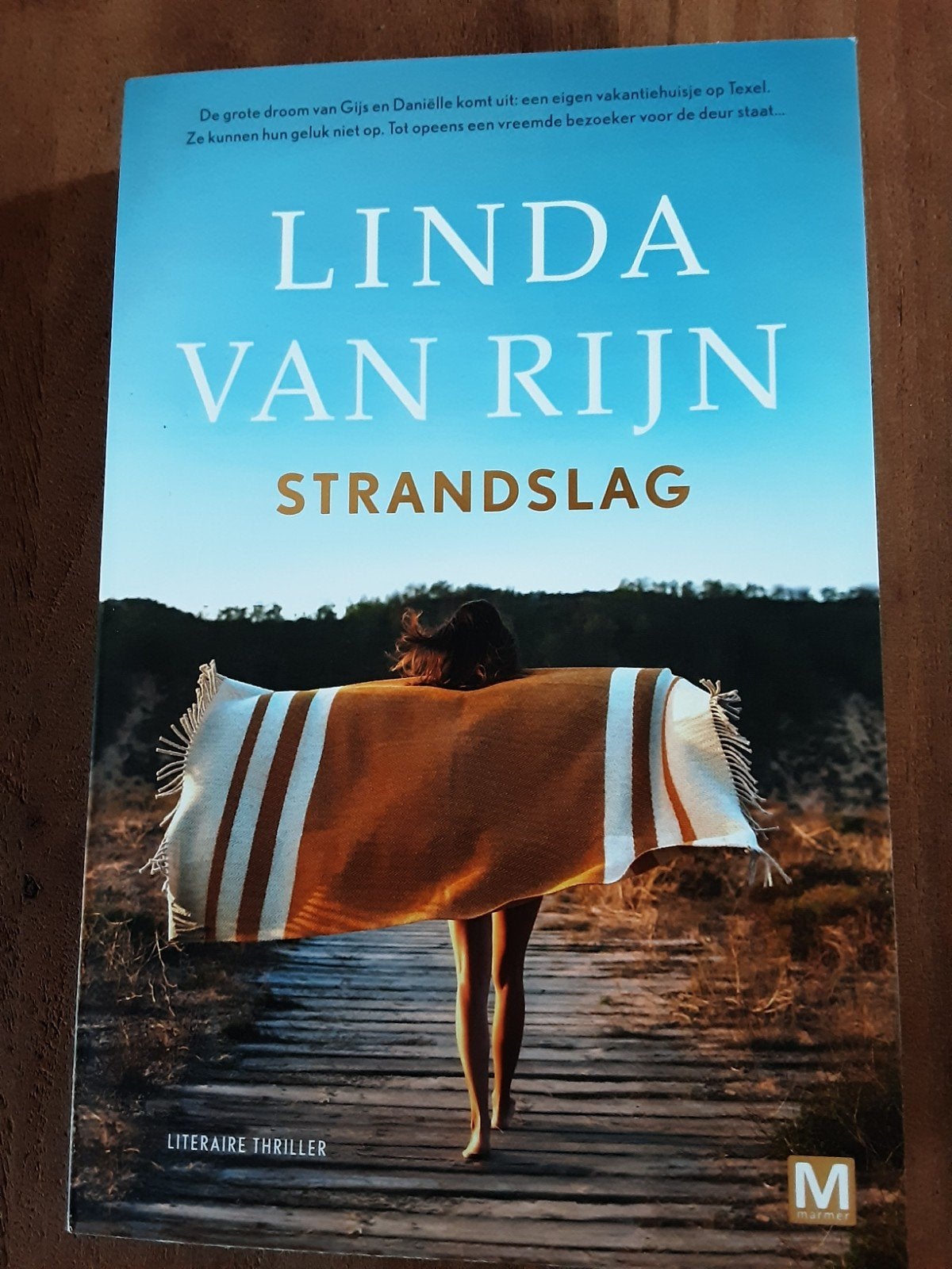 Linda van Rijn - Strandslag in nieuwstaat, Ophalen of Verzenden, Zo goed als nieuw