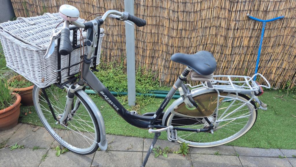 Batavus damesfiets met mand - 7 versnellingen, Ophalen, Terugtraprem, Versnellingen, Batavus