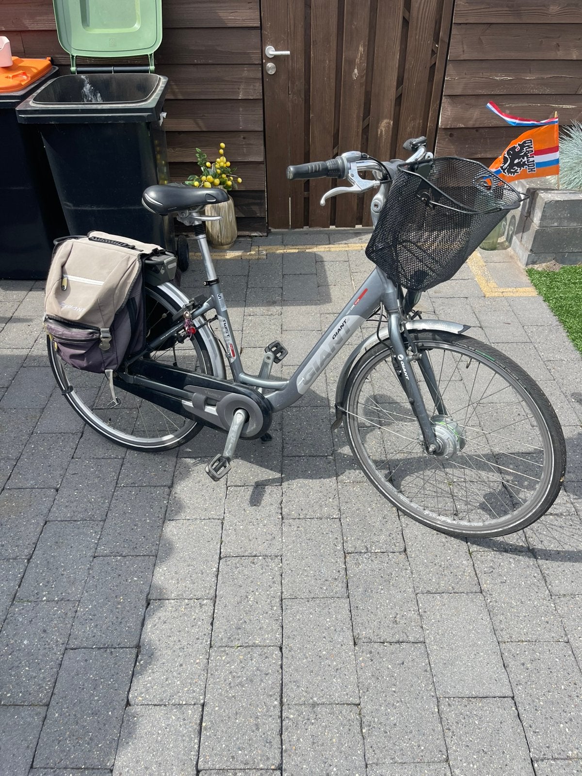 Giant twist defect, Fietsen en Brommers, Elektrische fietsen, Ophalen, Zo goed als nieuw, Minder dan 30 km per accu, Overige merken
