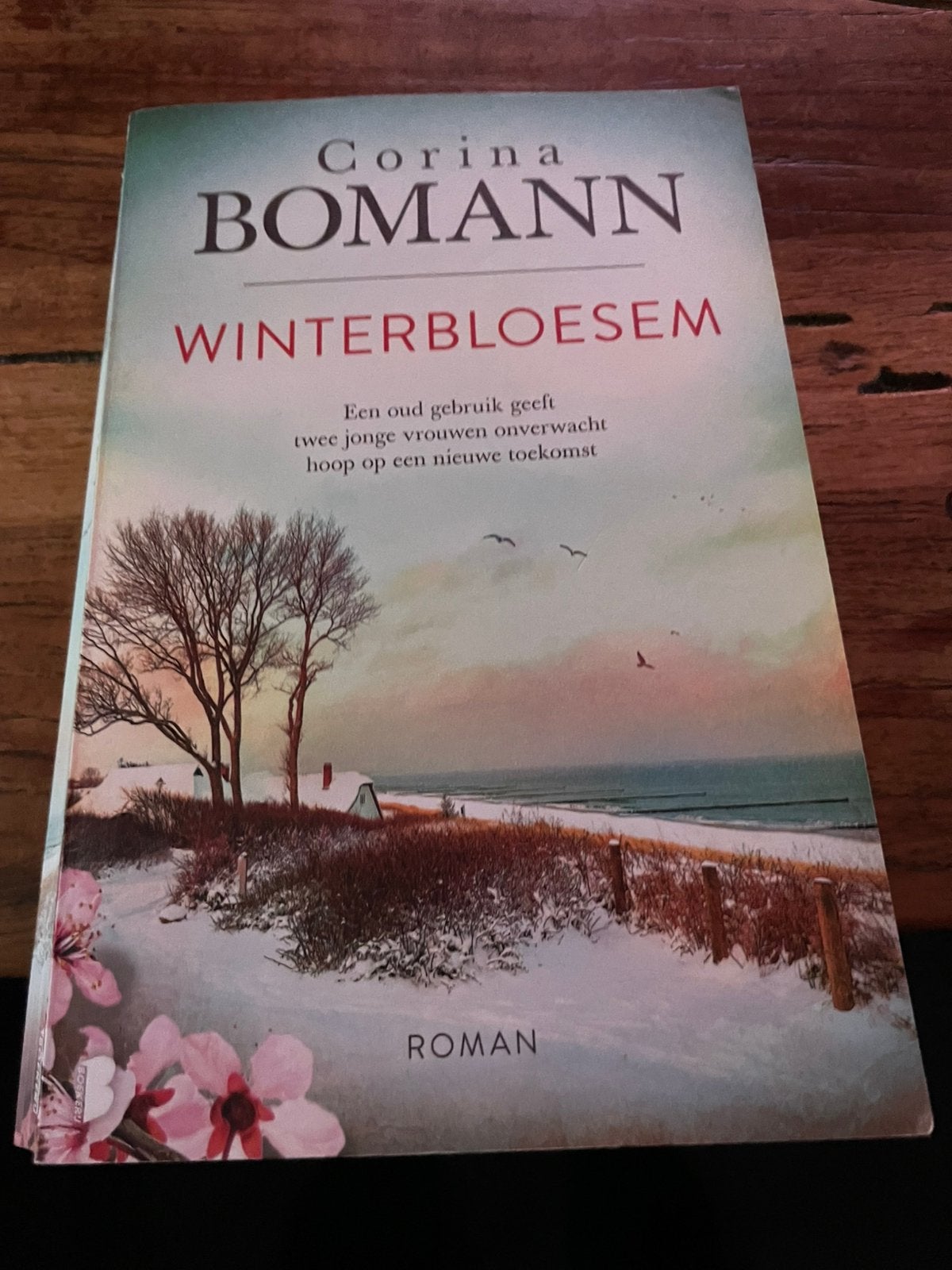 Corina bomann, Boeken, Ophalen, Gelezen