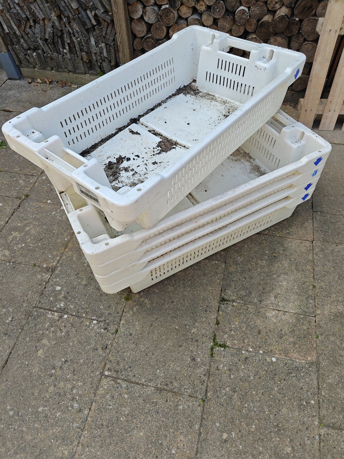 5 viskratten, Ophalen, 40 tot 60 cm, Minder dan 35 cm, 75 tot 100 cm