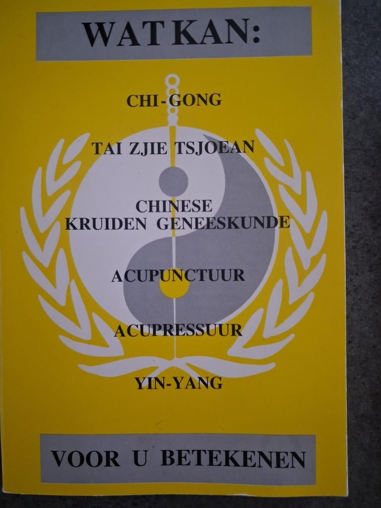 Wat Kan Chi- Gong, Tai Zjie Tsjoean....voor u betekenen., Yu Jung Li, Hanneke de Vos, Freek Peters., Ophalen of Verzenden, Zo goed als nieuw