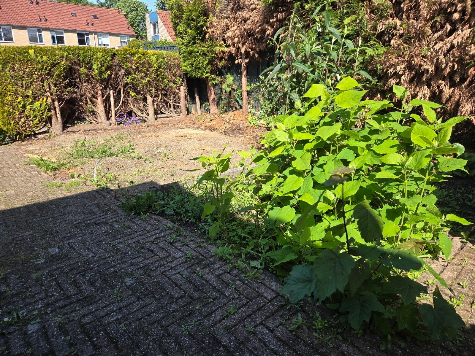 Tuinbestrating en schutting, Drie personen of meer