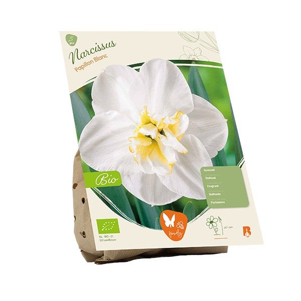 Narcis (Narcissus ‘Papillon Blanc’) BIOLOGISCH, Ophalen of Verzenden, Najaar, Volle zon, Bloembol