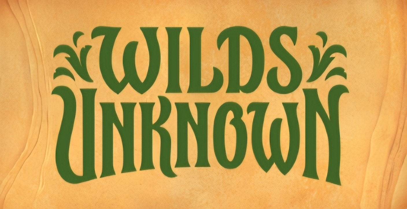 Complete nonfoil set + epics Wilds Unknown lorcana disney, Ophalen of Verzenden, Zo goed als nieuw, Meerdere kaarten