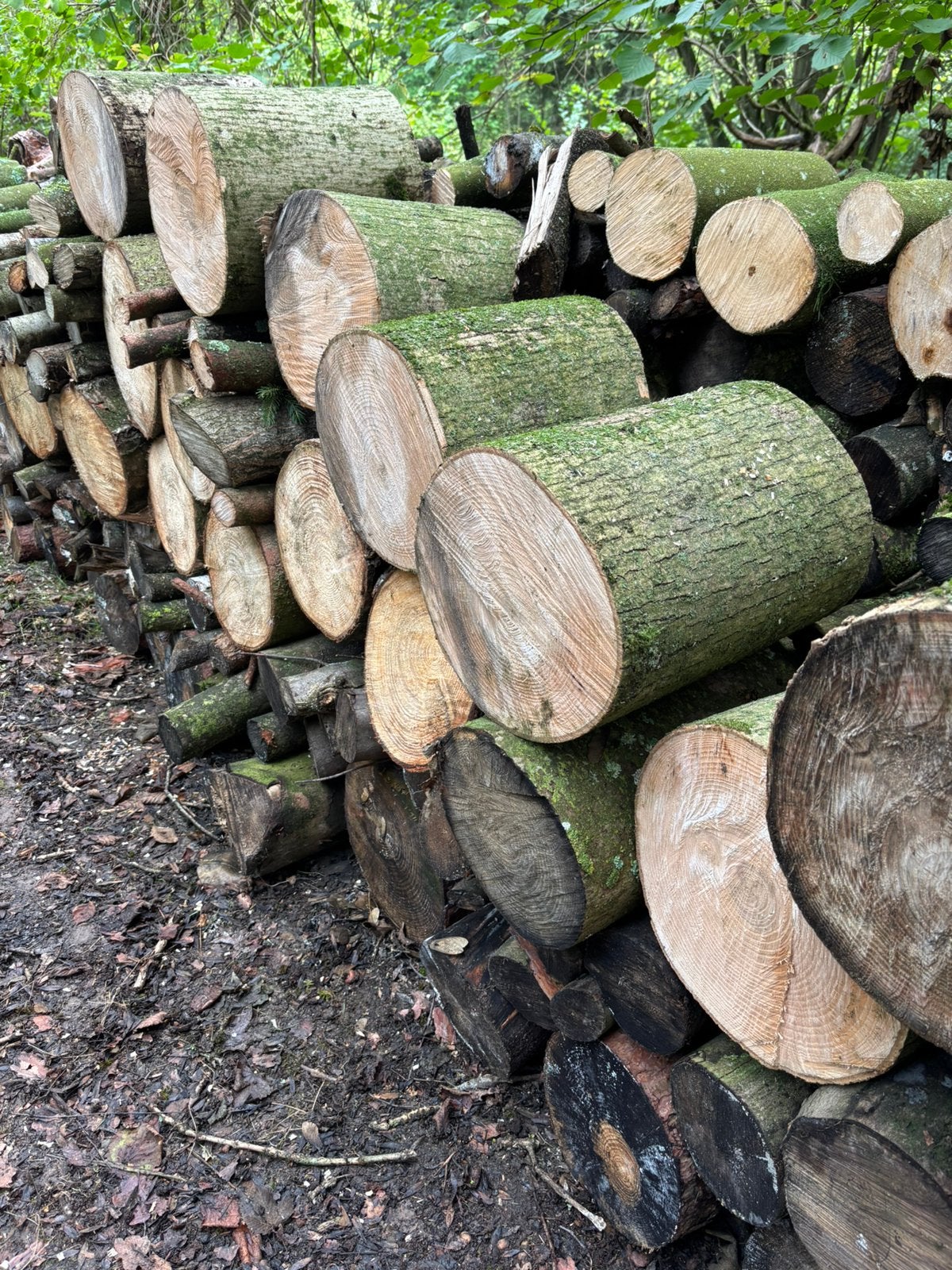 Haardhout mix, 6 m³ of meer, Ophalen, Overige houtsoorten, Blokken