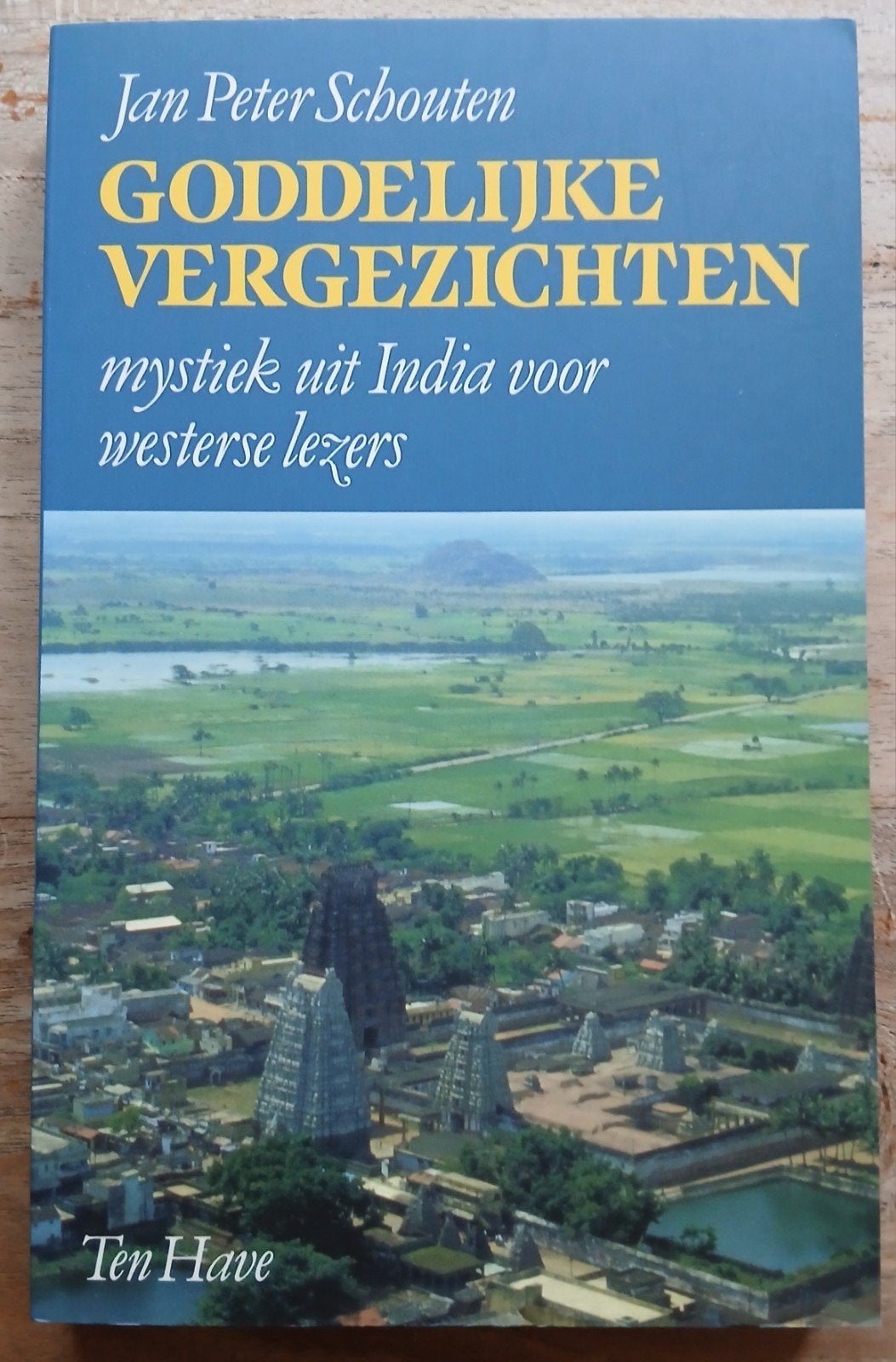 Jan Peter Schouten, Goddelijke vergezichten, Ophalen of Verzenden, Gelezen