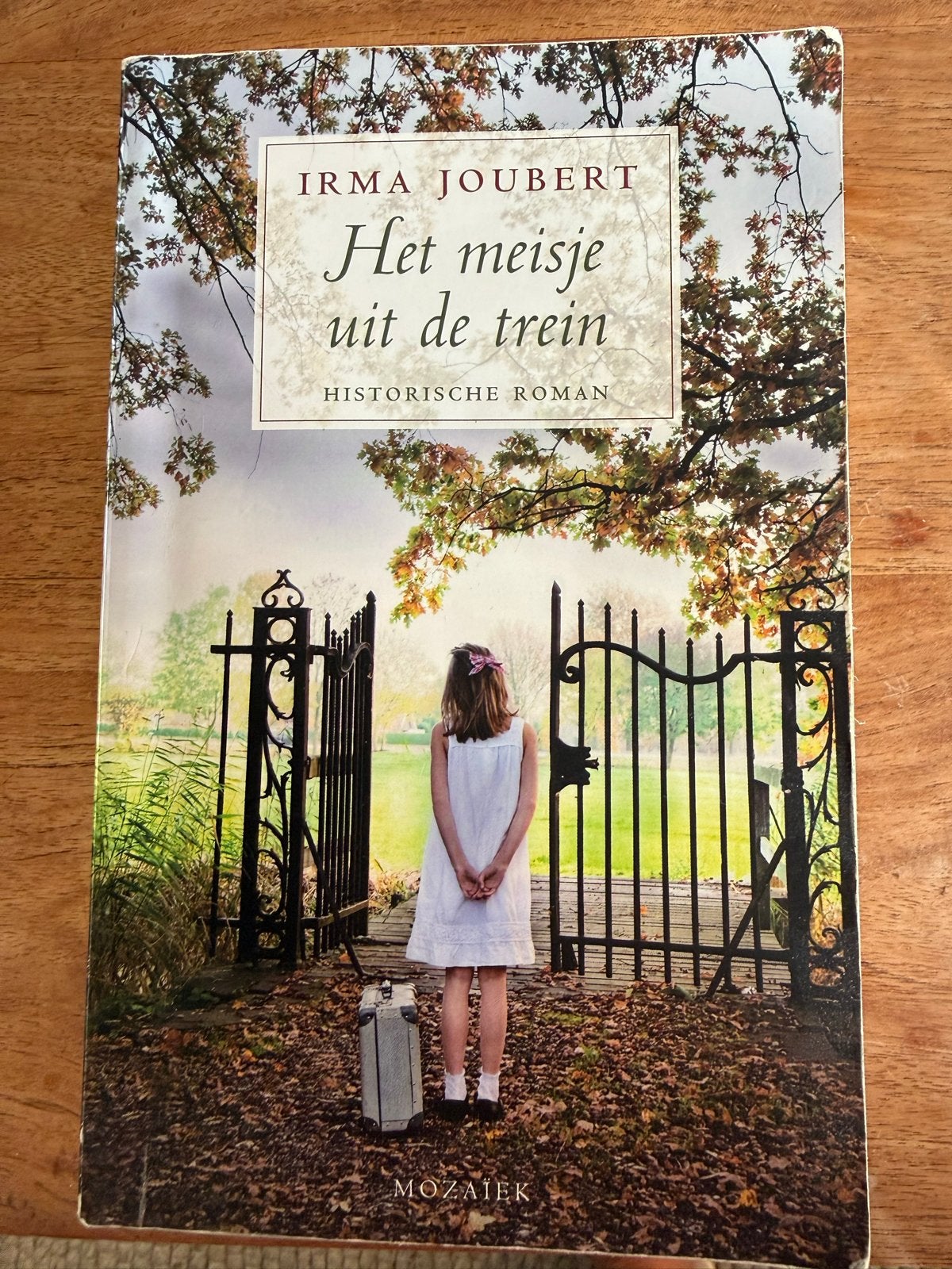 Het meisje uit de trein - Irma Joubert (Historische roman), Ophalen of Verzenden, Zo goed als nieuw
