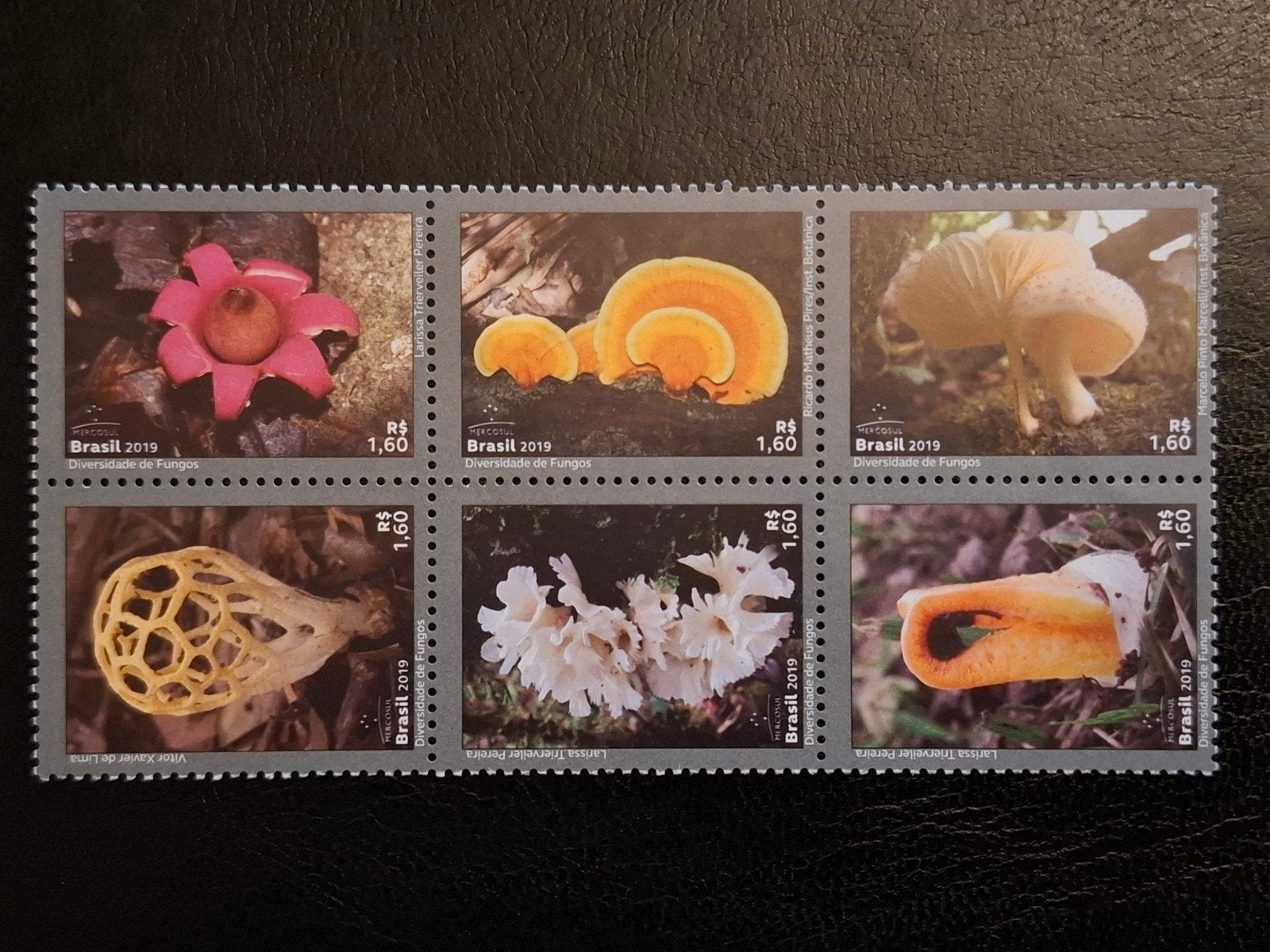 Brazilië 2019 Paddestoelen, Ophalen of Verzenden, Postfris, Zuid-Amerika