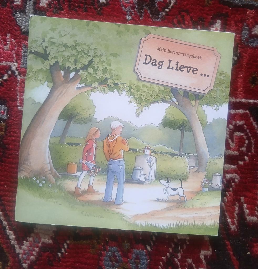Herinneringsboekje Dag Lieve... bij overlijden, Ophalen of Verzenden, Nieuw, Onbekend, Non-fictie