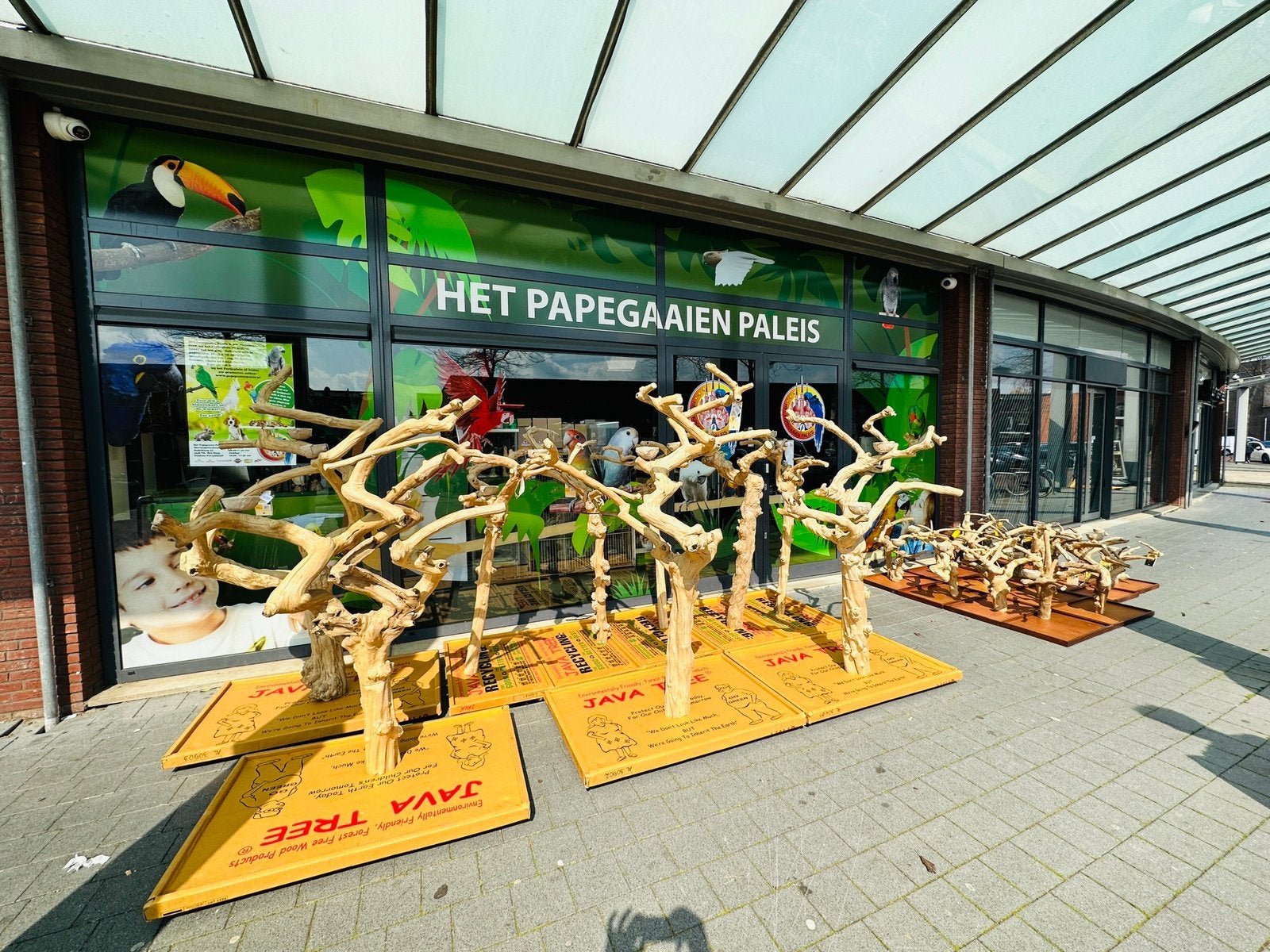 Javaboom, Dieren en Toebehoren, Ophalen of Verzenden, Nieuw, Overige typen