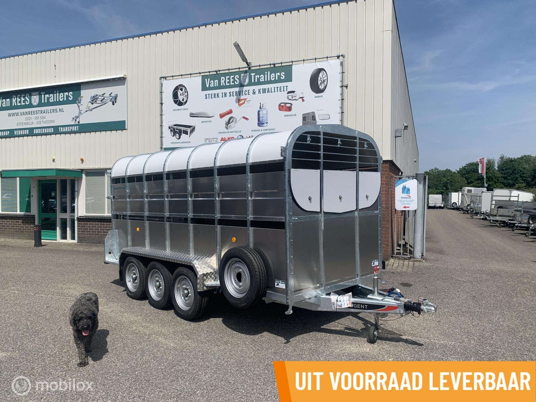 NUGENT veetrailer dubbele laadvloer veewagen 432x180x193, Zakelijke goederen, Veehouderij, Overige typen