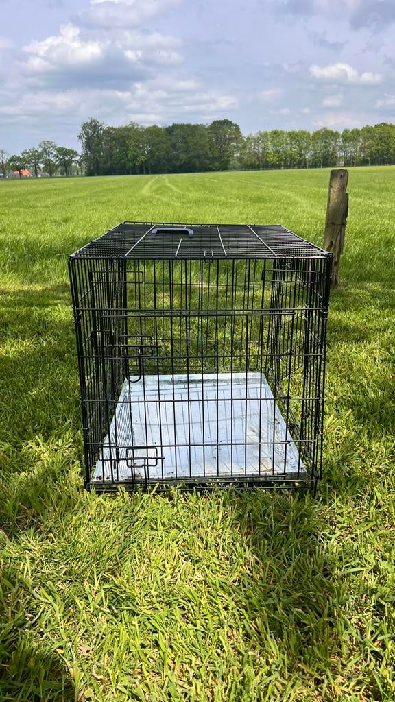 Bench voor hond of ander huisdier, Ophalen
