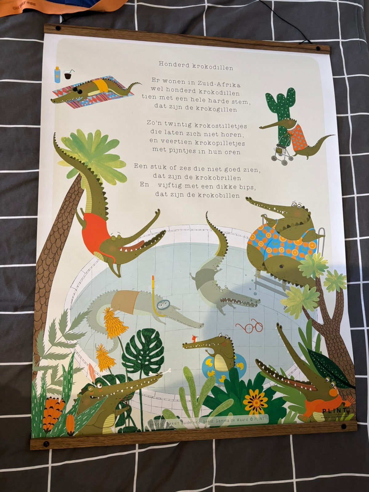 Honderd krokodillen poster, Ophalen, Natuur en Biologie