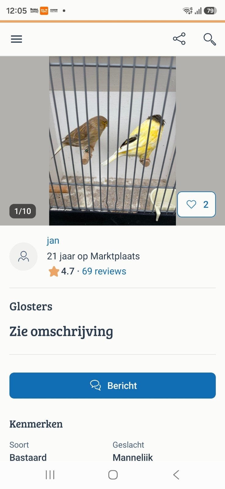 Gloster/kanarie (zie beschrijving), Meerdere dieren, Kleurkanarie