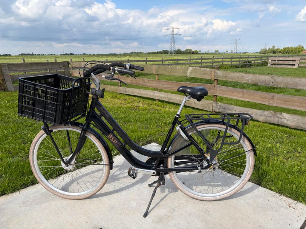 BSP Transportfiets / Mamafiets - 7 versnellingen, Velgrem, Versnellingen, Ophalen, Overige merken