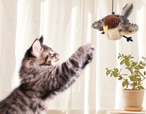 Nieuw in doos Flappy Bird met afstandsbediening Kattenspeel, Ophalen of Verzenden, Nieuw, Intelligentiespeelgoed