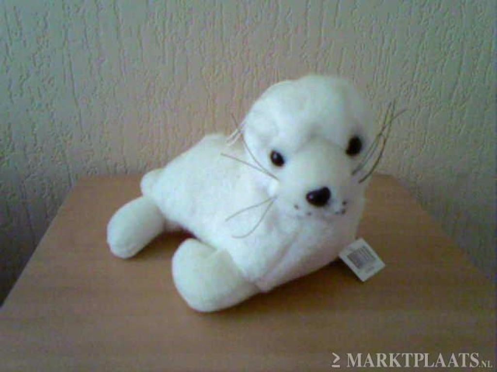 Zeehond Knuffel, Ophalen of Verzenden, Nieuw, Overige typen