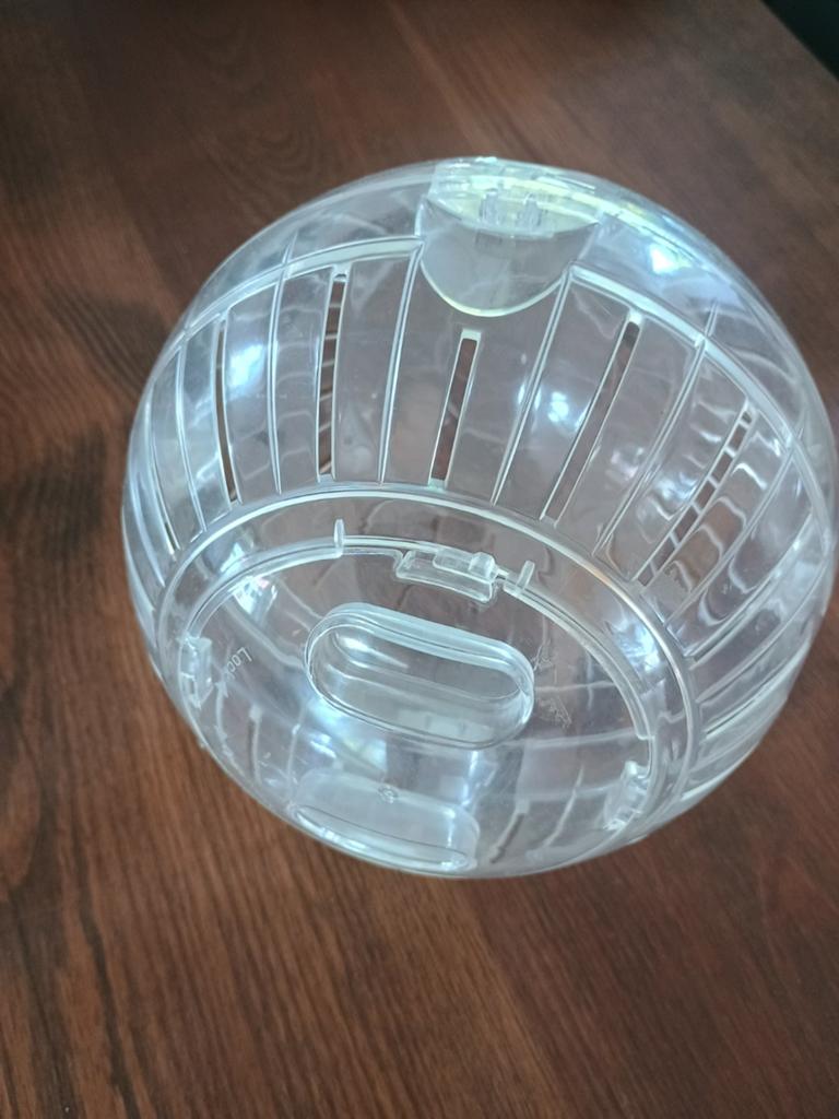 Hamster loopbal nieuw, Dieren en Toebehoren, Ophalen, Nieuw, Loopwiel of Rad
